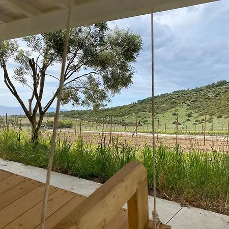 In Tenuta Asinara Vineyard * Sorso