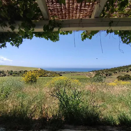 In Tenuta Asinara Vineyard Sorso