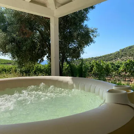 In Tenuta Asinara Vineyard Maison d'hôtes