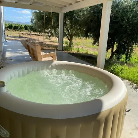 In Tenuta Asinara Vineyard *