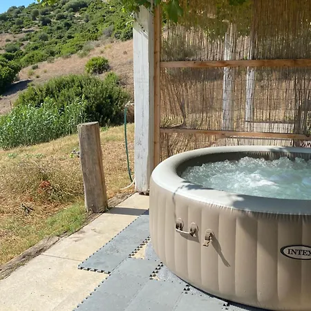 In Tenuta Asinara Vineyard