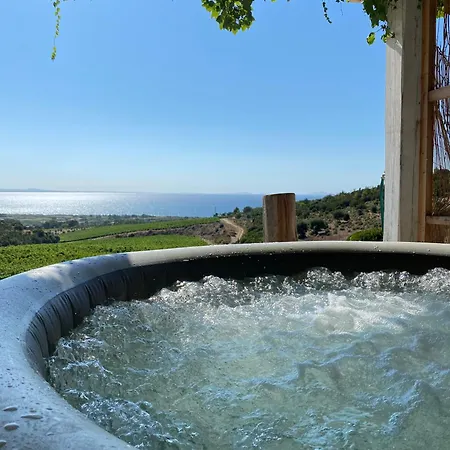 In Tenuta Asinara Vineyard 3* 소르소