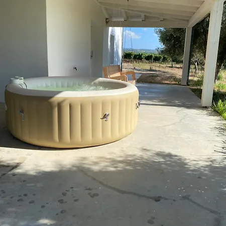 In Tenuta Asinara Vineyard