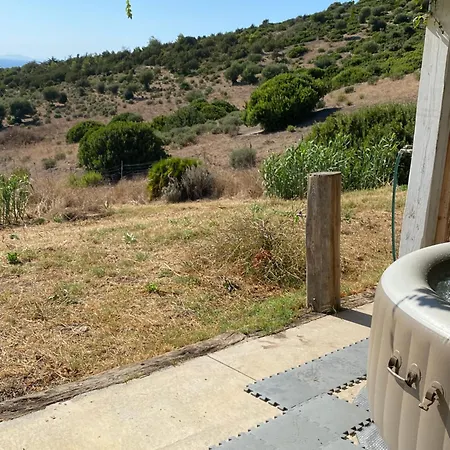 In Tenuta Asinara Vineyard
