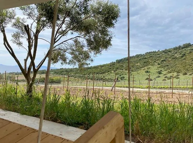 In Tenuta Asinara Vineyard 3* Sorso