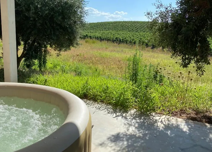 In Tenuta Asinara Vineyard 3* Sorso